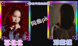 苏北北小杨最新爆料,揭秘娱乐圈最新热点事件